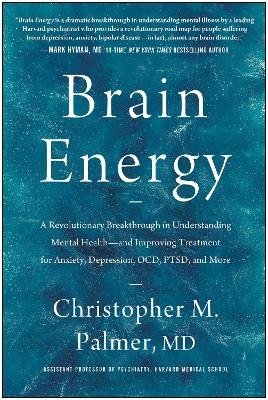 Brain Energy - Christopher M. Palmer