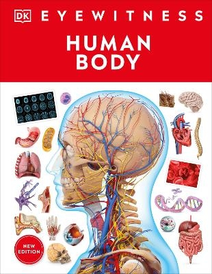 Eyewitness Human Body -  Dk