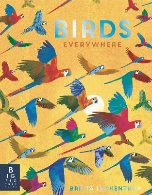 Birds Everywhere - Camilla de la Bedoyere