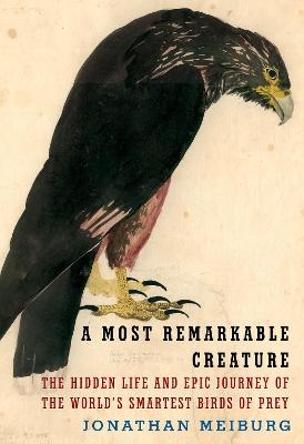 A Most Remarkable Creature - Jonathan Meiburg