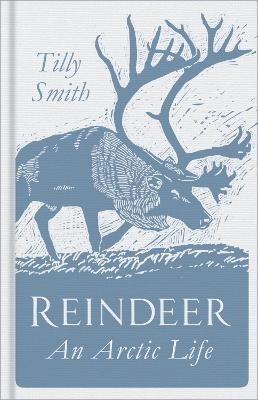 Reindeer - Tilly Smith