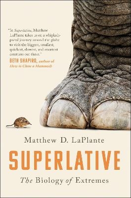 Superlative - Matthew D. LaPlante