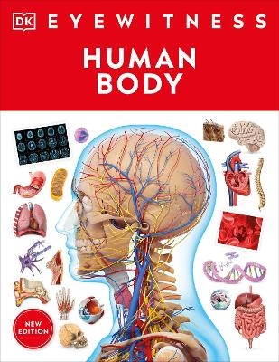 Eyewitness Human Body -  Dk