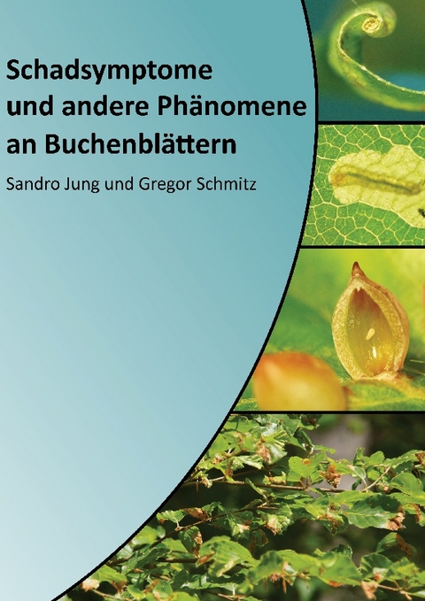 Schadsymptome und andere Phänomene an Buchenblättern - Sandro Jung, Gregor Schmitz