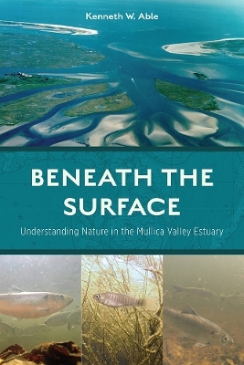 Beneath the Surface - Kenneth W. Able