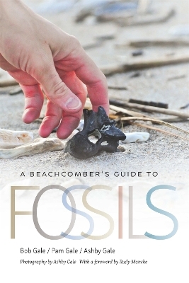 A Beachcomber's Guide to Fossils - Bob Gale, Pam Gale