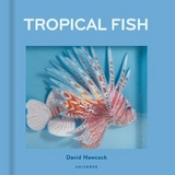 Tropical Fish - Hawcock, David