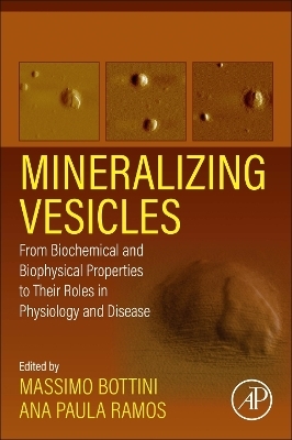 Mineralizing Vesicles - 