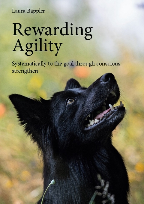 Rewarding Agility - Laura Bäppler