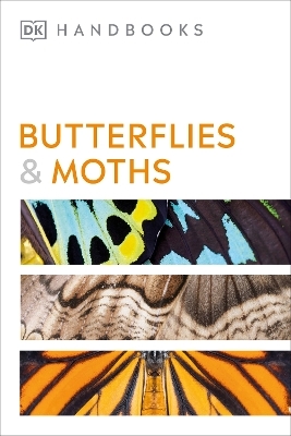 Butterflies and Moths - David Carter