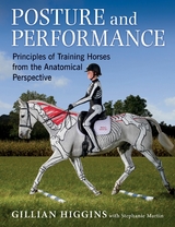 POSTURE AND PERFORMANCE - Gillian Higgins