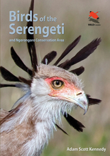 Birds of the Serengeti -  Adam Scott Kennedy