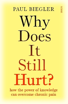 Why Does It Still Hurt? - Paul Biegler