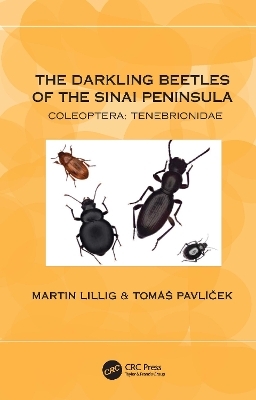 The Darkling Beetles of the Sinai Peninsula - Martin Lillig, Tomáš Pavlíček