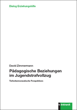 Pädagogische Beziehungen im Jugendstrafvollzug - David Zimmermann