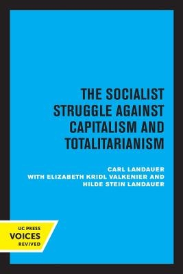 European Socialism, Volume II - Carl Landauer