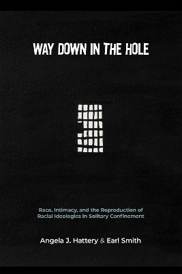 Way Down in the Hole - Angela J. Hattery, Earl Smith