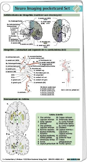 Neuro Imaging pocketcard Set - Sebastian von Stuckrad-Barre, Stefan Weidauer