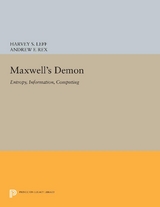 Maxwell's Demon - 