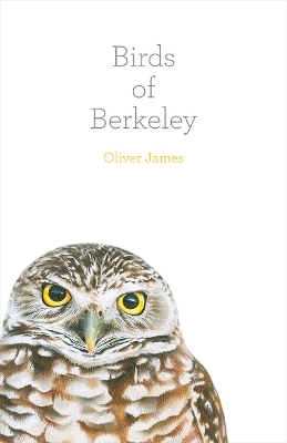 Birds of Berkeley - Oliver James