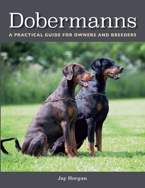 Dobermanns - Jay Horgan