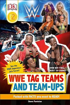 WWE Tag Teams and Team-Ups - Steve Pantaleo