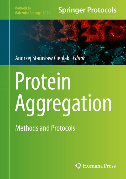 Protein Aggregation - 