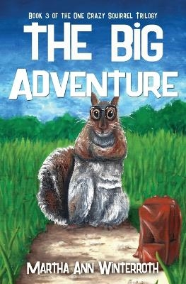 The Big Adventure - Martha Ann Winterroth