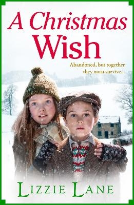 A Christmas Wish -  Lizzie Lane