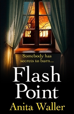 Flash Point -  Anita Waller