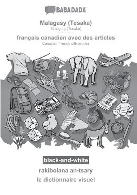 BABADADA black-and-white, Malagasy (Tesaka) - français canadien avec des articles, rakibolana an-tsary - le dictionnaire visuel -  Babadada GmbH