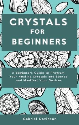 Crystal for Beginners - Gabriel Davidson