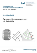 Synchrone Reluktanzmaschinen mit Statorkäfig - Matthias Pohl