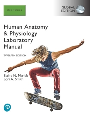 Mastering A&P without Pearson eText for Human Anatomy & Physiology Laboratory Manual, Main Version (with Cat & Fetal Pig Dissection) Global Edition - Elaine Marieb, Lori Smith