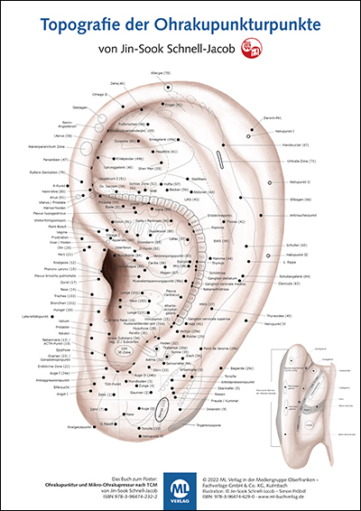 Poster - Topografie der Ohrakupunkturpunkte - Schnell-Jacob Jin-Sook