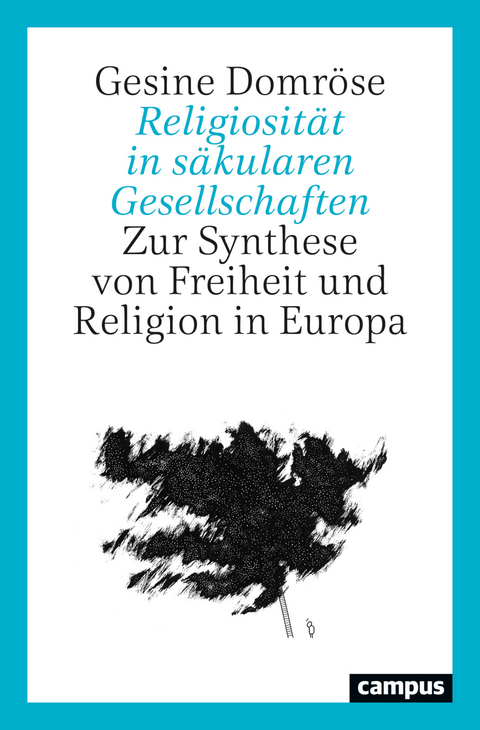 Religiosität in säkularen Gesellschaften - Gesine Domröse