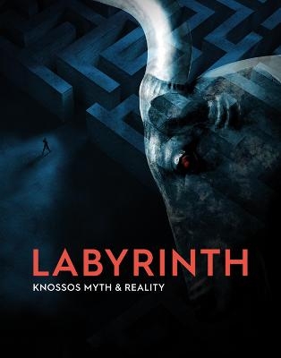 Labyrinth - Andrew Shapland