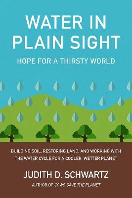 Water in Plain Sight - Judith D. Schwartz