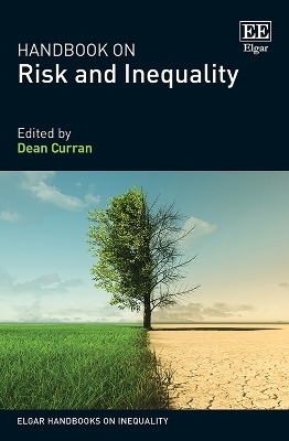 Handbook on Risk and Inequality - 