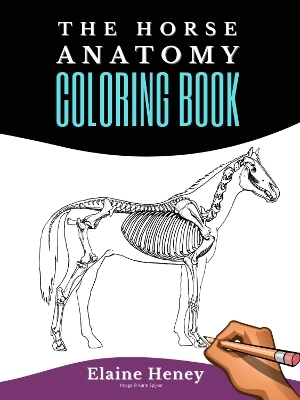 Horse Anatomy Coloring Book For Adults - Elaine Heney