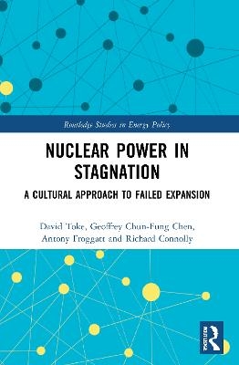 Nuclear Power in Stagnation - David Toke, Geoffrey Chun-fung Chen, Antony Froggatt, Richard Connolly