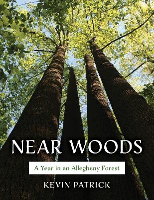 Near Woods - Kevin Patrick