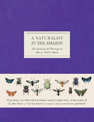 A Naturalist in the Amazon - Henry Walter Bates