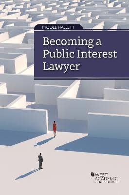 Becoming a Public Interest Lawyer - Nicole Hallett