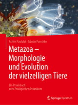 Metazoa - Morphologie und Evolution der vielzelligen Tiere - Achim Paululat, Günter Purschke