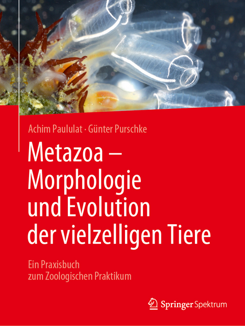 Metazoa - Morphologie und Evolution der vielzelligen Tiere - Achim Paululat, Günter Purschke