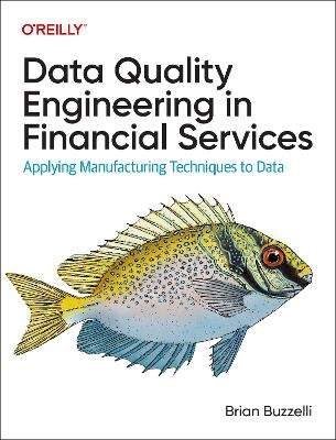 Data Quality Engineering in Financial Services - Brian Buzzelli