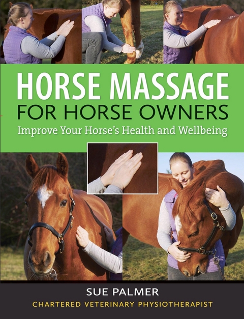 Horse Massage for Horse Owners - Sue Palmer