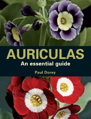 Auriculas - Paul Dorey