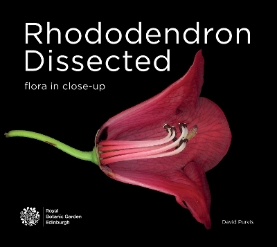 Rhododendron Dissected - 